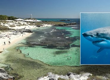 Shark Attack Claims Life of Man Near Rottnest Island, Australia