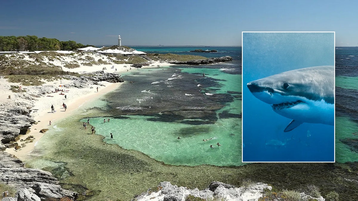 Shark Attack Claims Life of Man Near Rottnest Island, Australia