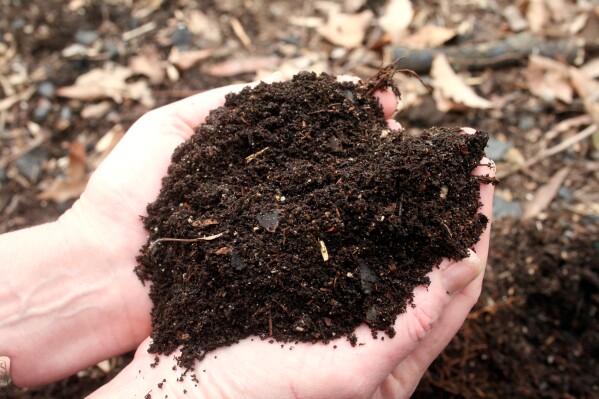 Avoid These Common Gardening Myths