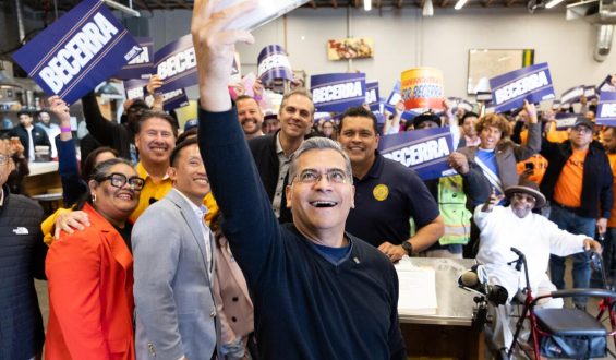 California Gubernatorial Race: A Divided Voter Base