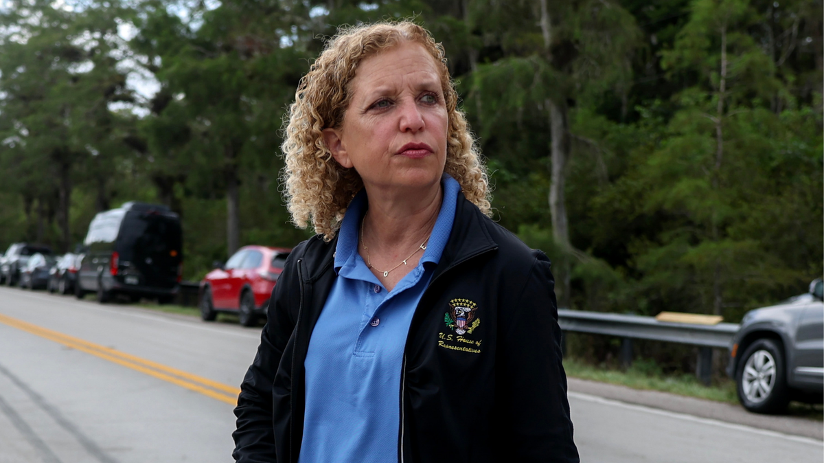 Debbie Wasserman Schultz Faces Criticism Over Florida District 20 Election Bid