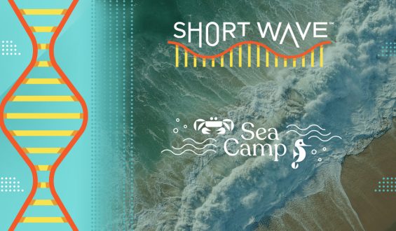 Understanding Shifting Ocean Currents
