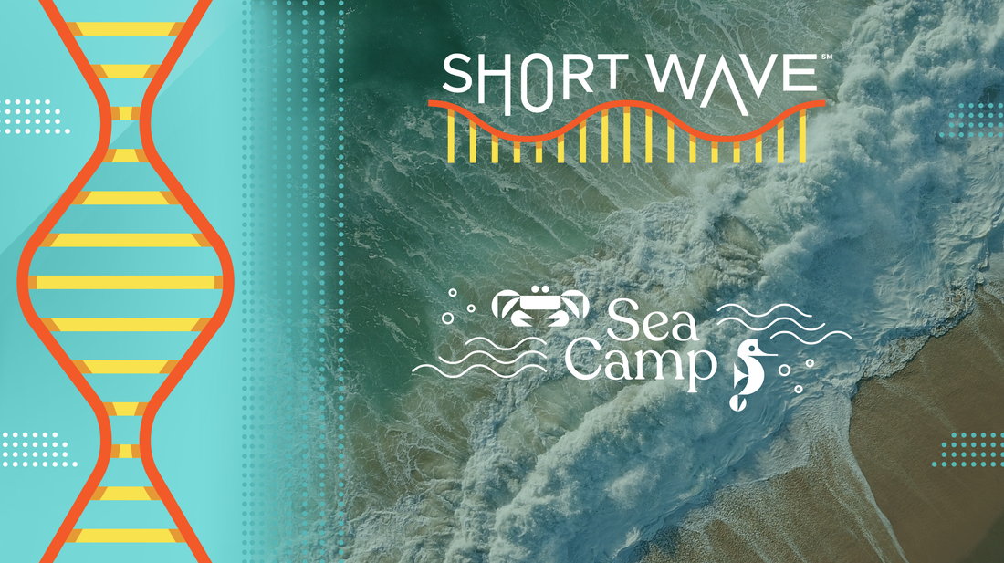 Understanding Shifting Ocean Currents