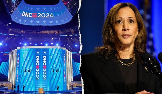 Criticism of the Democratic National Committee’s 2024 Election Report