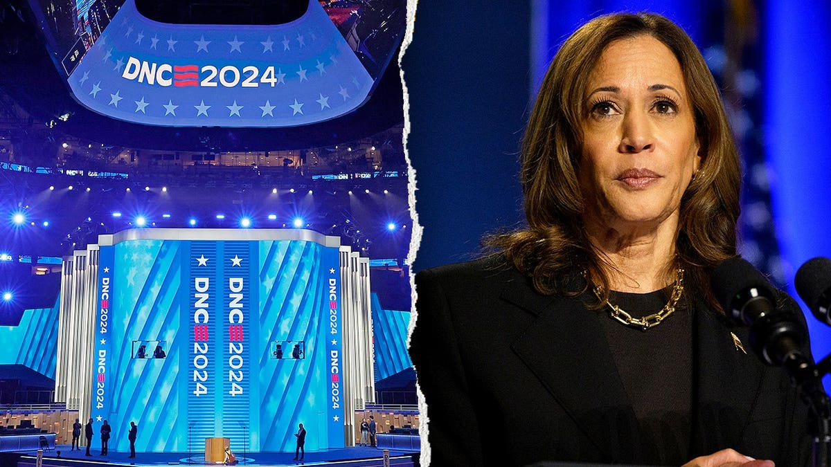 Criticism of the Democratic National Committee’s 2024 Election Report