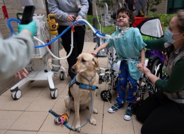 Facility Dogs: Bringing Comfort to Children’s Hospitals