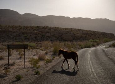 Trump Lifts Restrictions on Off-Road Vehicles in National Parks