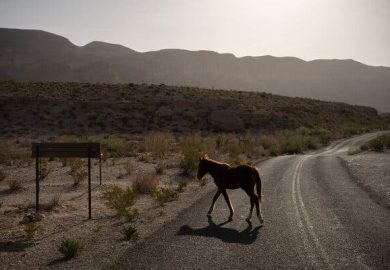 Trump Lifts Restrictions on Off-Road Vehicles in National Parks