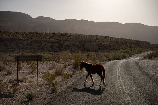 Trump Lifts Restrictions on Off-Road Vehicles in National Parks