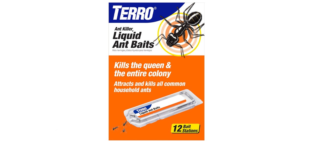 Effective Ant Killers and Their Uses