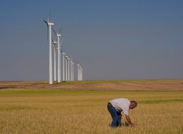 Kansas Wheat Growers Struggle Amid Severe Drought and Economic Challenges