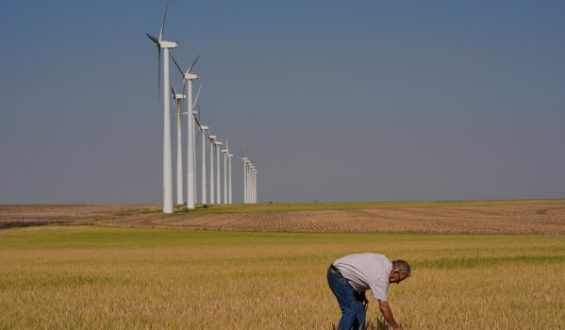 Kansas Wheat Growers Struggle Amid Severe Drought and Economic Challenges