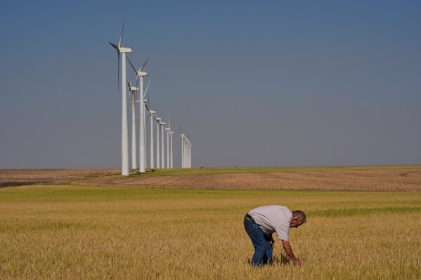 Kansas Wheat Growers Struggle Amid Severe Drought and Economic Challenges