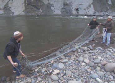 Muckleshoot Tribe’s Enduring Connection to Salmon