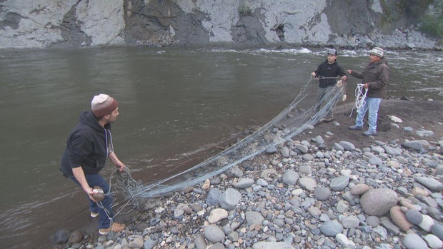 Muckleshoot Tribe’s Enduring Connection to Salmon