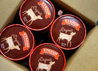 Straus Family Creamery Recalls Organic Ice Cream Due to Metal Fragment Concerns