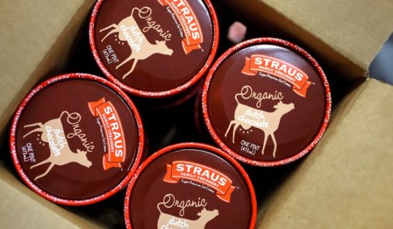 Straus Family Creamery Recalls Organic Ice Cream Due to Metal Fragment Concerns