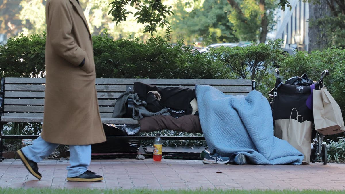 Savannah Addresses Homelessness and Drug Trafficking Challenges