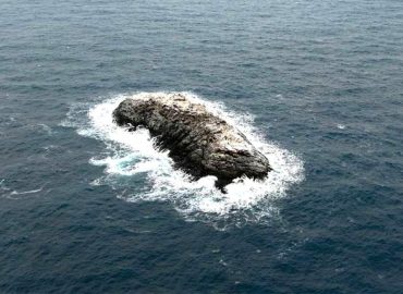 Newly Discovered Antarctic Island Uncovered by Researchers