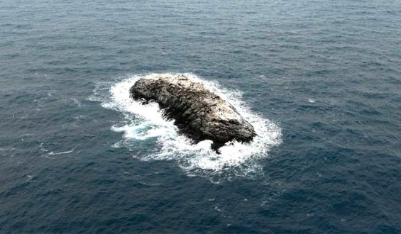 Newly Discovered Antarctic Island Uncovered by Researchers