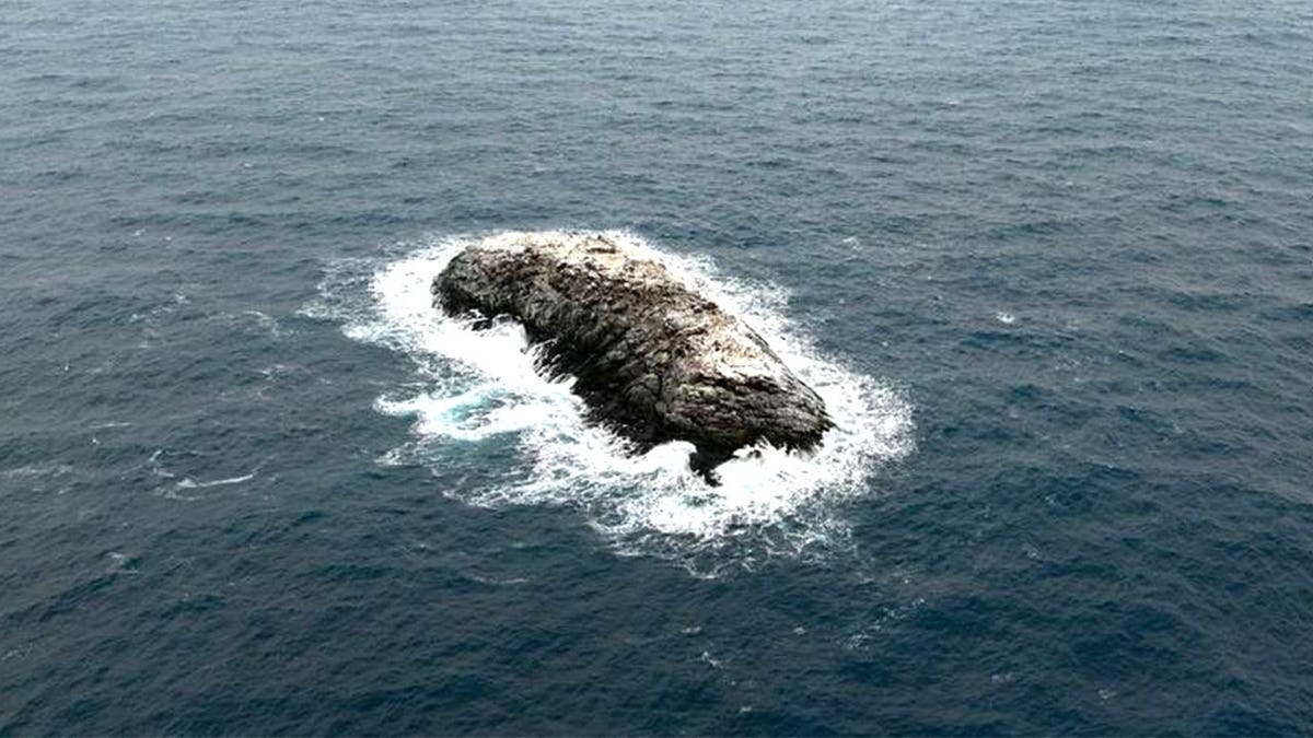 Newly Discovered Antarctic Island Uncovered by Researchers