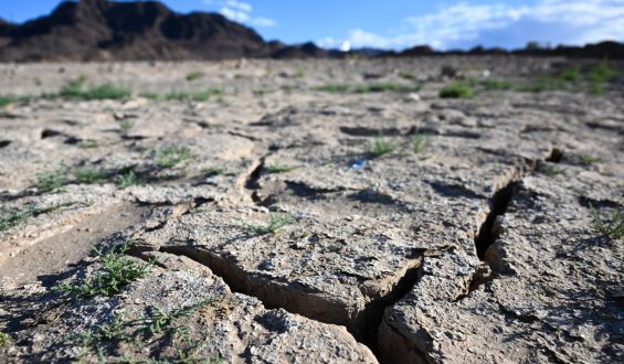 Conservation Groups Advocate Overhaul of Water Policies in Southern California