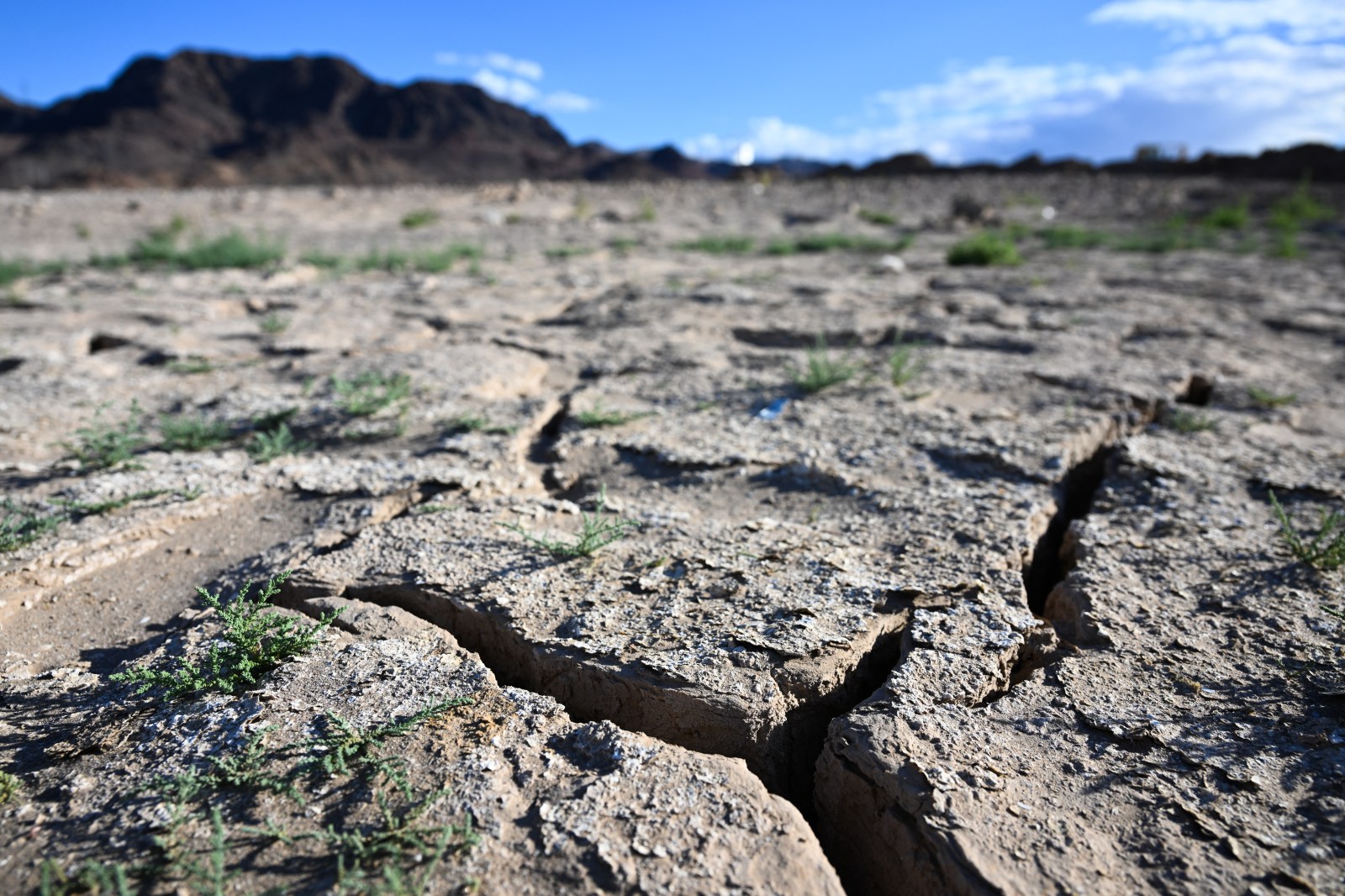 Conservation Groups Advocate Overhaul of Water Policies in Southern California