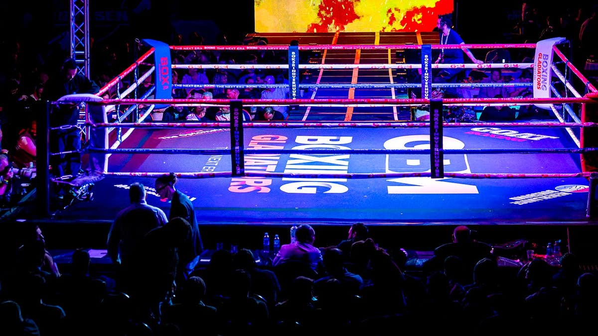 Boxer Knocked Out in Five Seconds: Controversy Highlights Sportsmanship Issues