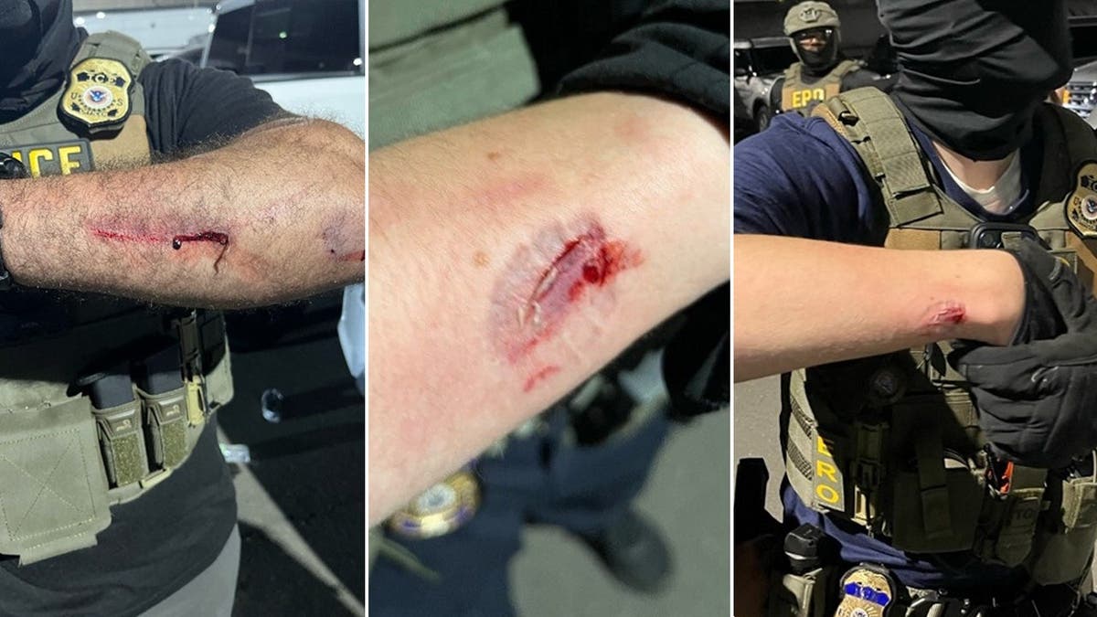 Federal Charges Against Anti-ICE Protester After Violent Clashes in New Jersey