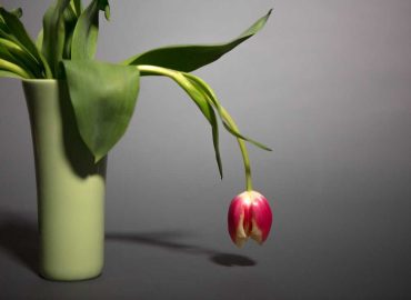 Boost Your Energy Naturally: Tips from Experts
