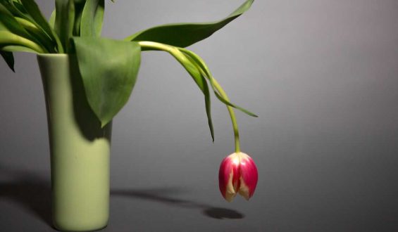 Boost Your Energy Naturally: Tips from Experts