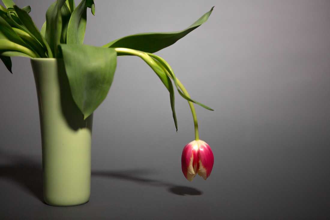 Boost Your Energy Naturally: Tips from Experts