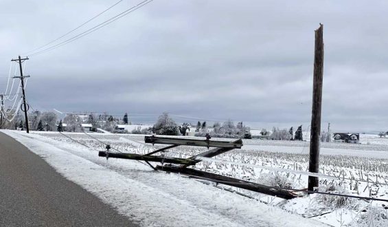 Northern Michigan Wrestles with Ice Storm Aftermath and Future Climate Challenges