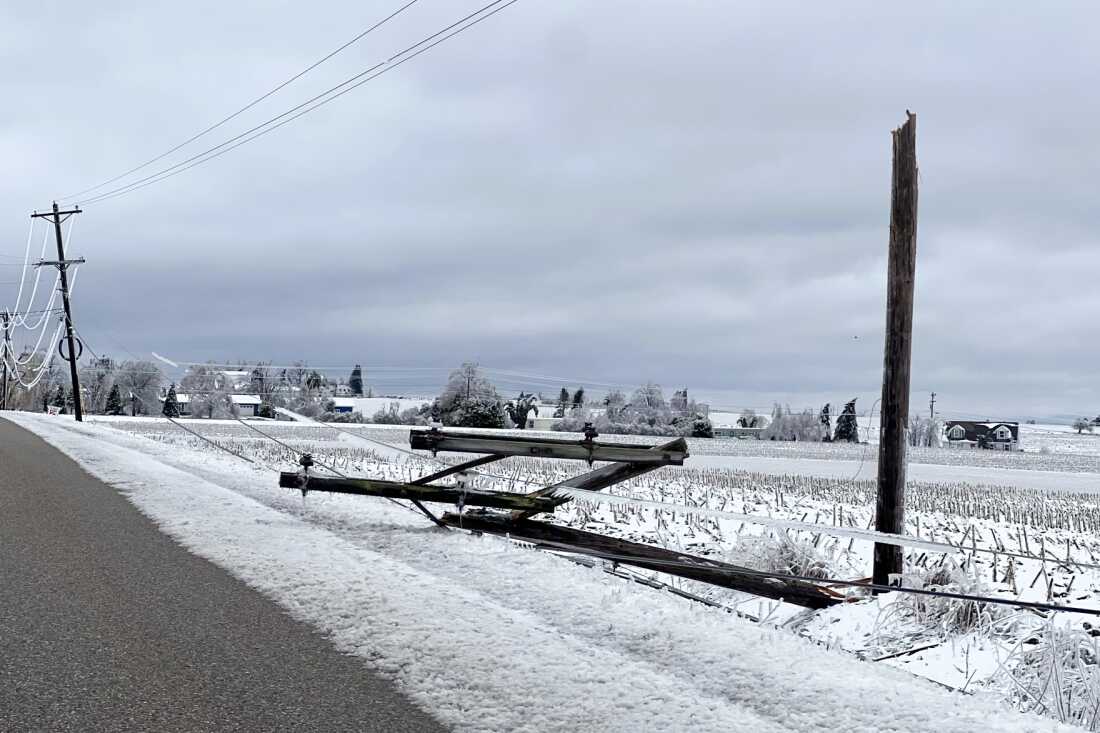 Northern Michigan Wrestles with Ice Storm Aftermath and Future Climate Challenges