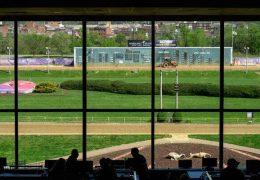 Greyhound Racing in West Virginia: A Tradition on the Brink