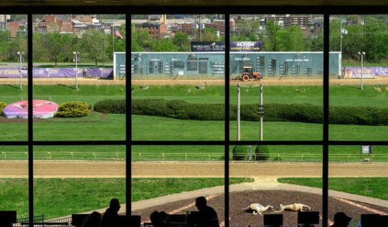 Greyhound Racing in West Virginia: A Tradition on the Brink