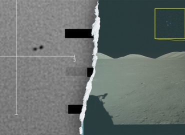Claims of Alien Species Recovered in the U.S. Spark Debate