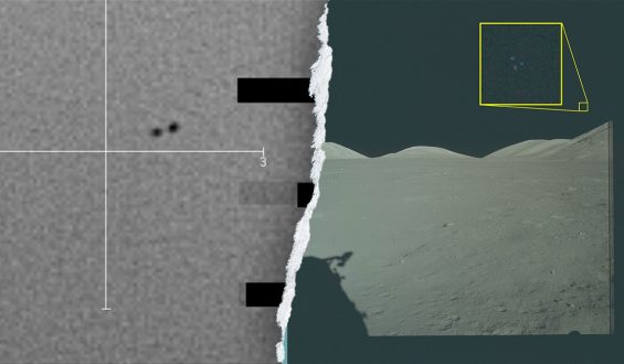 Claims of Alien Species Recovered in the U.S. Spark Debate