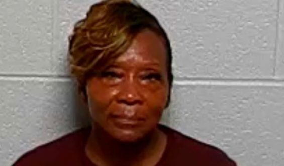 Illinois Lawmaker Faces Felony Charge for Alleged Voter Fraud