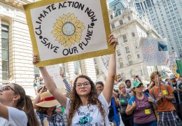 Hawaii’s Legal Challenges Against the Energy Sector