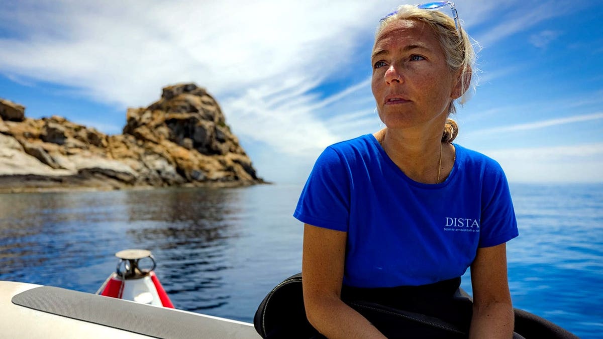 Tragic Dive Incident in the Maldives: Italian Families Seek Clarity