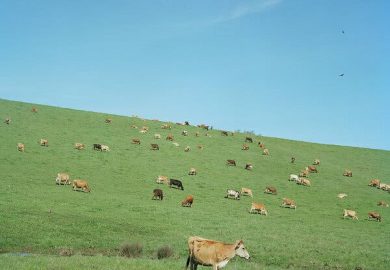 The Impact of Corporate Concentration on Food Prices