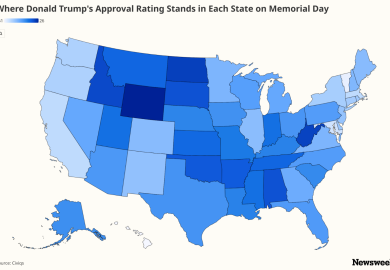 Trump’s Approval Ratings Show Political Divide Amid Midterm Elections