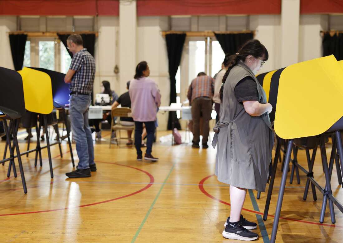 Controversial Voting Overhaul Returns to Capitol Hill Amid Concerns