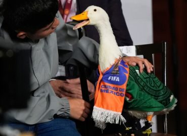 Dr. Nas Mohamed’s Activism at the World Cup