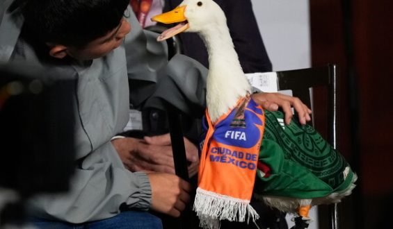 Dr. Nas Mohamed’s Activism at the World Cup
