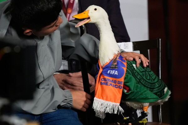 Dr. Nas Mohamed’s Activism at the World Cup