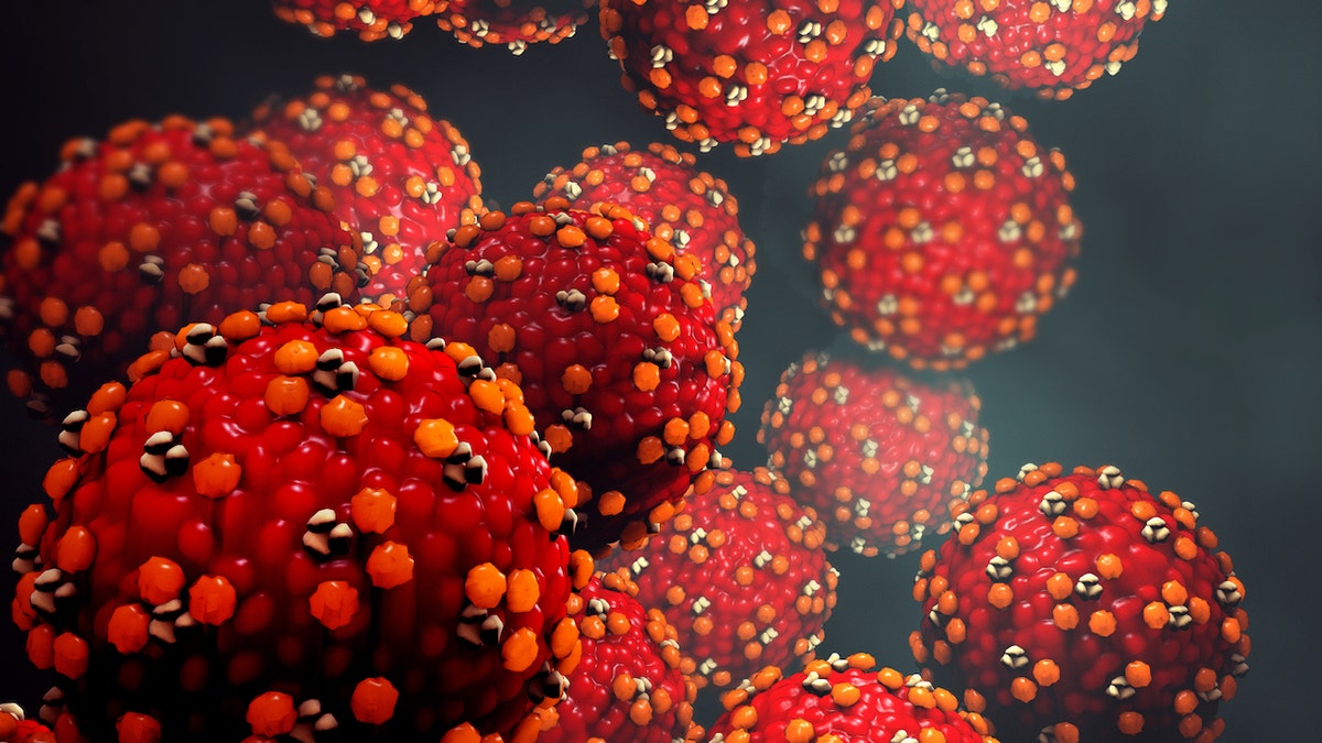 Measles Exposure at Los Angeles International Airport and Nearby Hotel