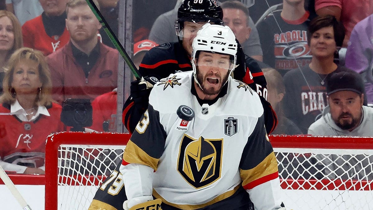 Player Injured by Puck During Stanley Cup Final