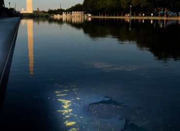 Trump’s Reflecting Pool Controversy: A Case Study in Dysfunction